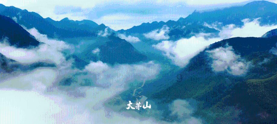 红薯的100种做法游戏画面